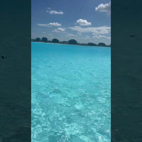 🏖️ Beaching, only better! Living here is easy, ask me how #crystallagoon #movetoflorida