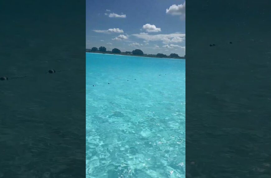🏖️ Beaching, only better! Living here is easy, ask me how #crystallagoon #movetoflorida