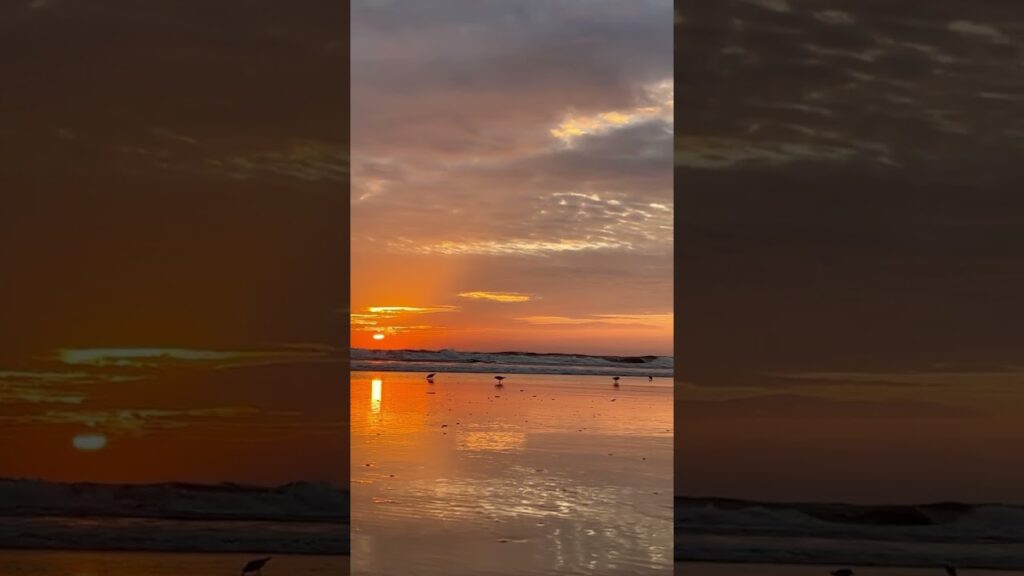 ☀️Gorgeous sunrise on the Atlantic today☀️ #sunrise #floridaliving