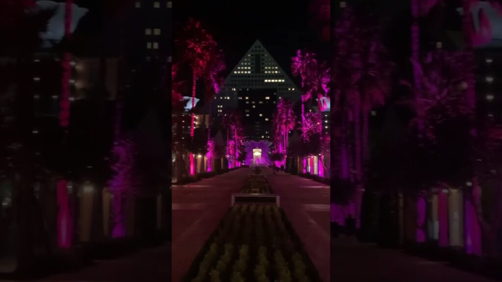 🌴All lit up🌴#floridaliving #beautifulnight