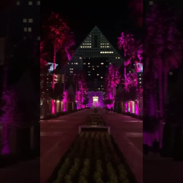🌴All lit up🌴#floridaliving #beautifulnight