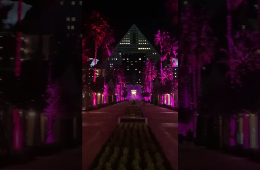 🌴All lit up🌴#floridaliving #beautifulnight