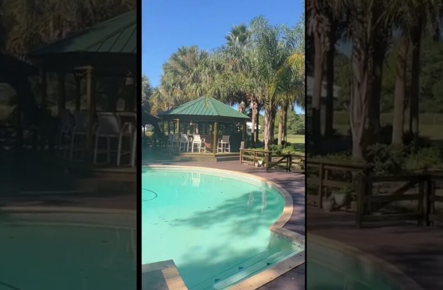 🌴Treehouse with cool pool in the Florida country🌴#movetoflorida #countryliving