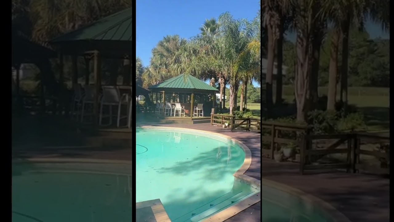 🌴Treehouse with cool pool in the Florida country🌴#movetoflorida #countryliving