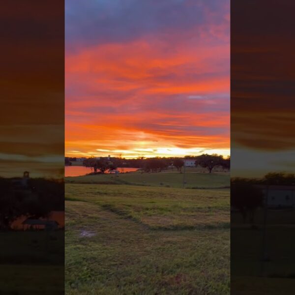 Had to pull over to admire this amazing sunrise☀️#sunrise #floridaliving