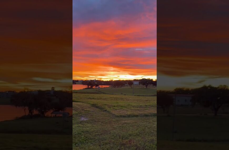 Had to pull over to admire this amazing sunrise☀️#sunrise #floridaliving