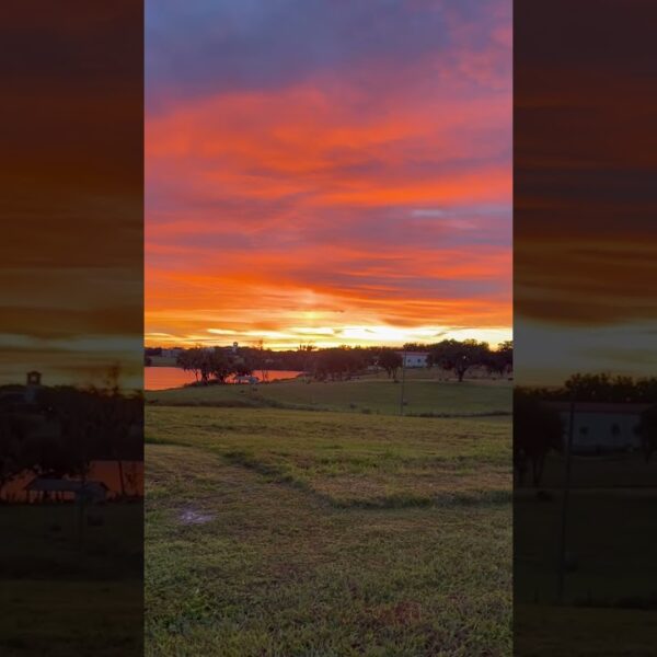 🔥Sky is on FIRE this morning🔥#floridalife #sunriseflorida