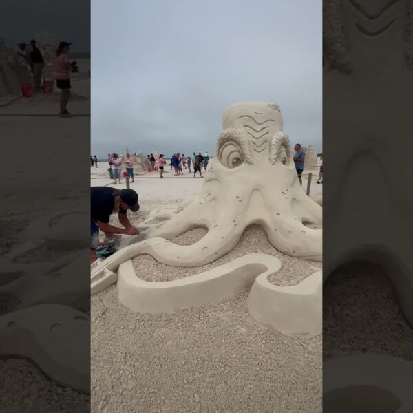 ☀️Giant Sandcastles are back!☀️#treasureisland #floridaliving