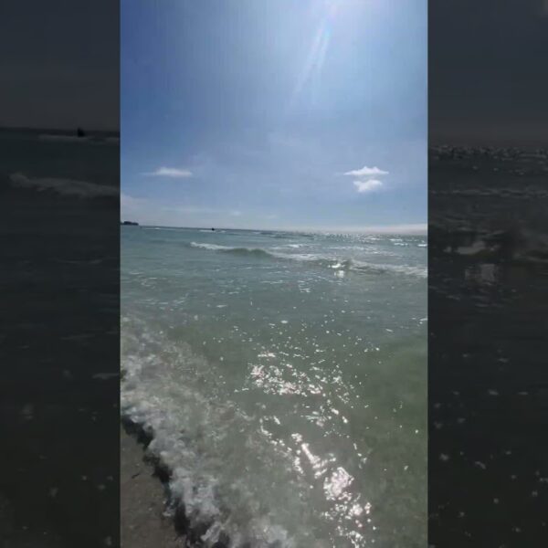 ☀️Beach walking in November☀️#movetoflorida #floridaliving