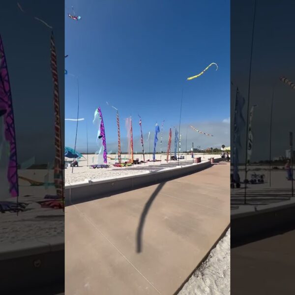 ☀️ Another beautiful day in the Sunshine State☀️#floridaliving #movetoflorida