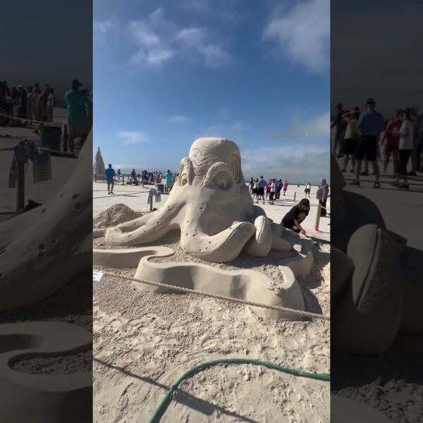 ☀️Amazing & made from sand! #floridalife #movetoflorida