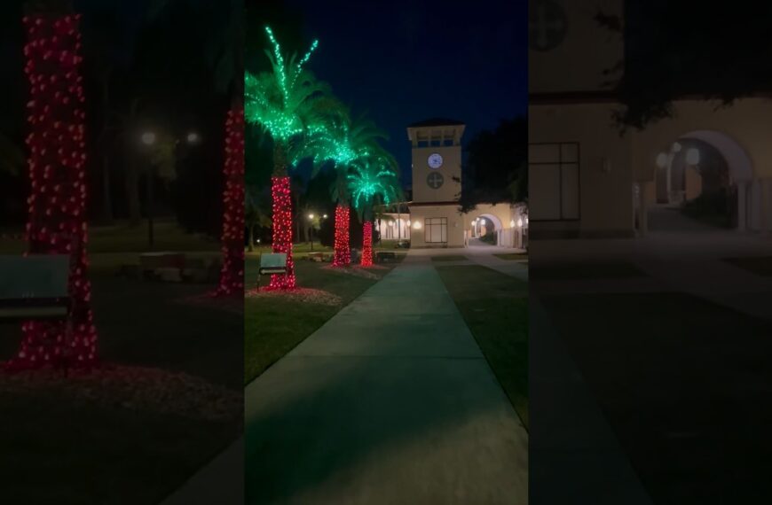 🌴Missing some lights this year but still worth the visit🌴 #christmaslights #livinginflorida