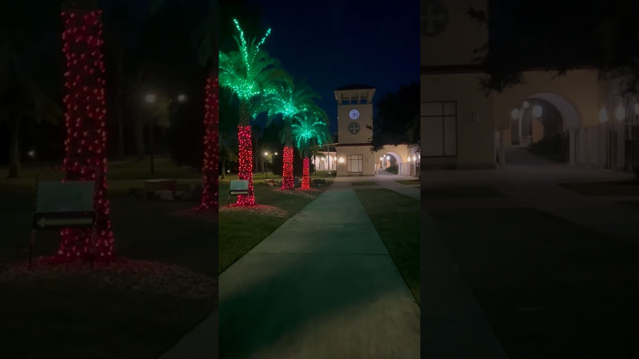 🌴Missing some lights this year but still worth the visit🌴 #christmaslights #livinginflorida