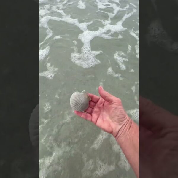 ☀️Cloudy days here are still good days #ilovefloridaliving #floridabeaches