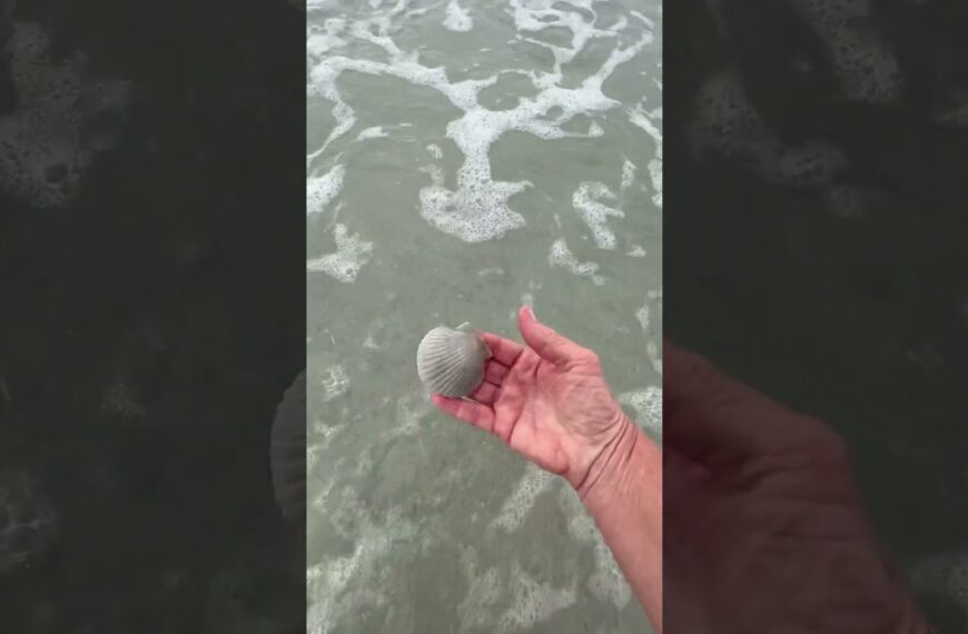 ☀️Cloudy days here are still good days #ilovefloridaliving #floridabeaches