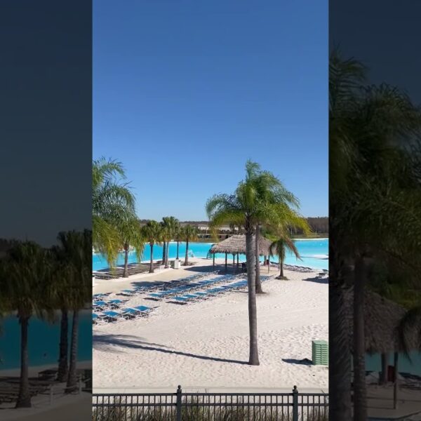 🌴Just another December day in the Sunshine State☀️#livingintampa #movetoflorida