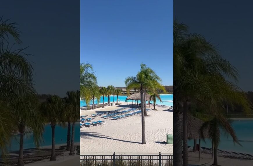 🌴Just another December day in the Sunshine State☀️#livingintampa #movetoflorida