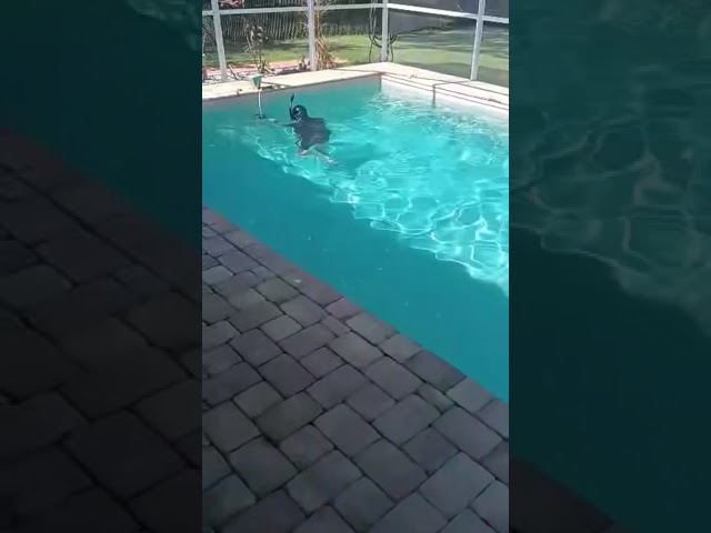 Grab the wetsuit! Home inspections in FL can be next level 🤣#tampabayrealestate #tamparealestate