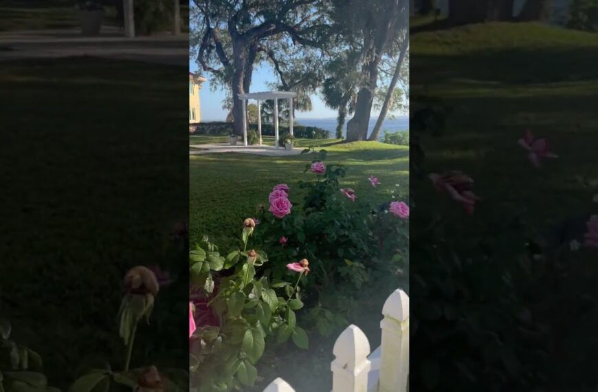 ☀️Roses to the River in the sunshine state☀️#florida #floridaliving