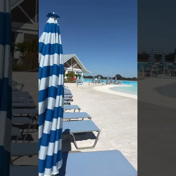 🏝️Lagoon Life is calling you🏝️#movetoflorida #tampabayrealestate