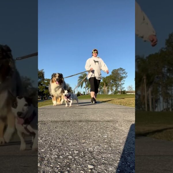 ☀️Beautiful morning in the sunshine state☀️#livinginflorida #sunshinestate