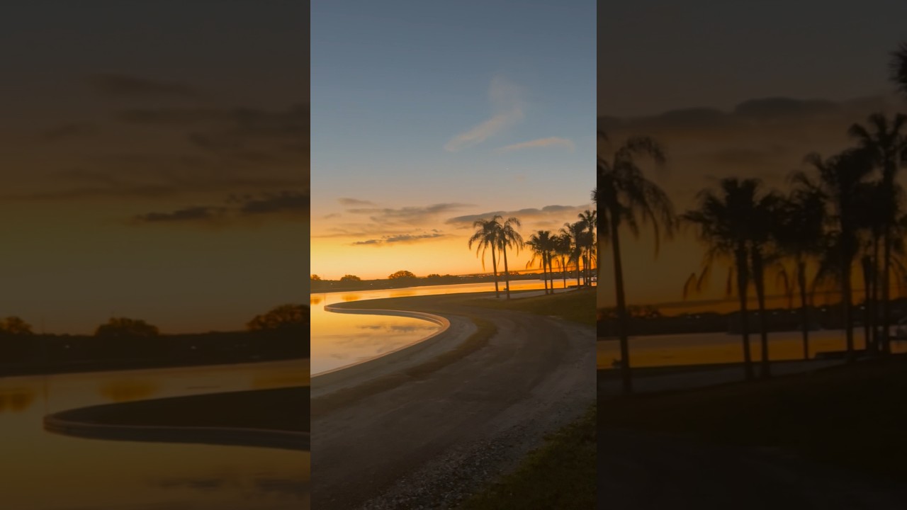 ☀️No SNOW here this morning☀️ #movetoflorida #tampabayrealestate