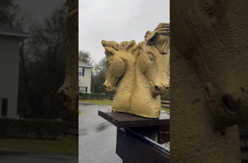 Weird or cute? #gardenart #homescapes