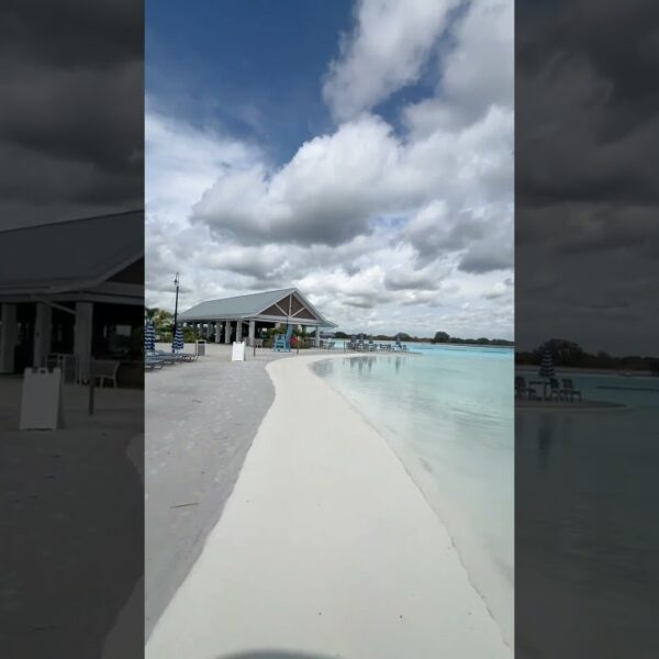 🌴Live like you’re on vacay everyday here🌴#livinginflorida #movetoflorida