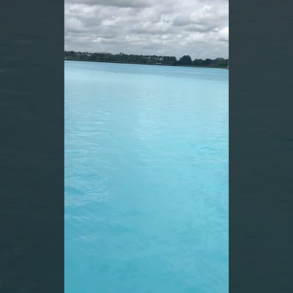 🌴No gangsters, just PARADISE🌴 #movetotampa #floridaliving