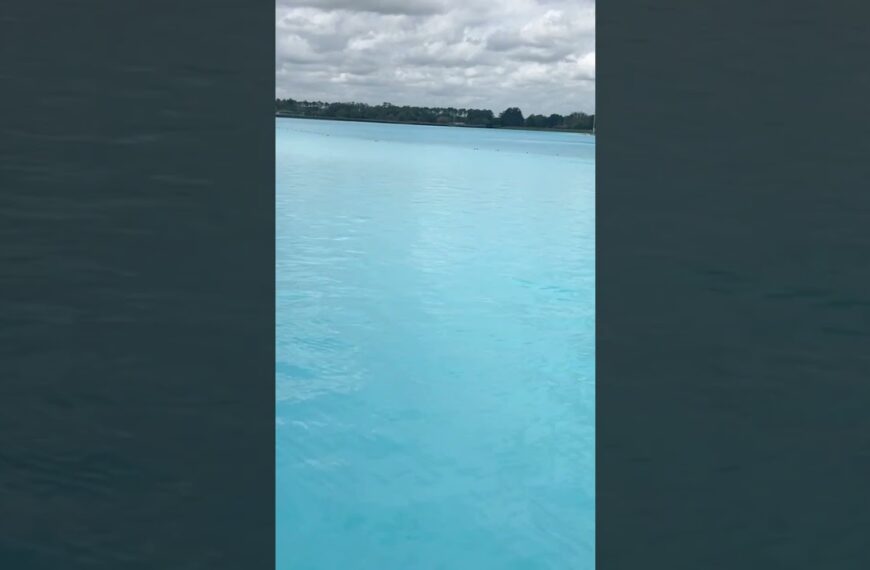 🌴No gangsters,  just PARADISE🌴 #movetotampa #floridaliving