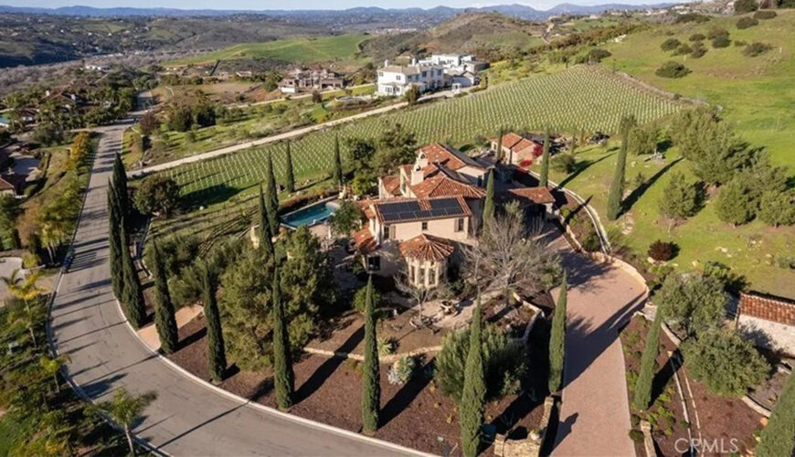 Michelle Mack of ‘California Girls’ Cosmetics Theft Ring Desperately Tries To Unload San Diego Mansion