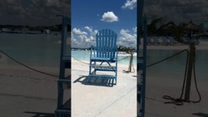 ☀️Sit right down and enjoy the view #livinginflorida #movetotampa