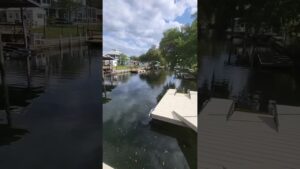 🌴Could you live the River Life? #riverlife #movetoflorida