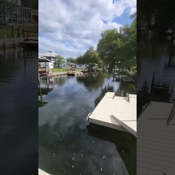 🌴Could you live the River Life? #riverlife #movetoflorida