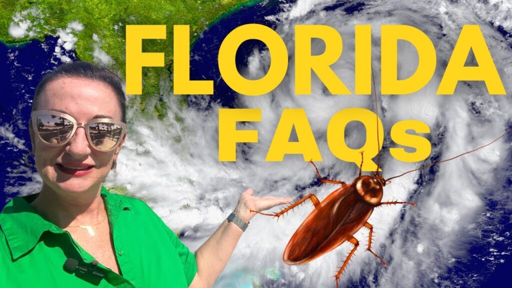Relocating to TAMPA Florida - MOST asked QUESTIONS answered here!