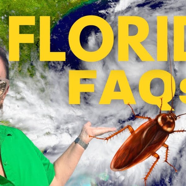 Relocating to TAMPA Florida - MOST asked QUESTIONS answered here!