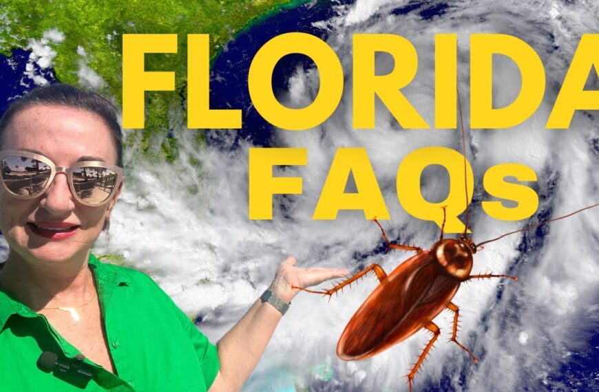 Relocating to TAMPA Florida - MOST asked QUESTIONS answered here!