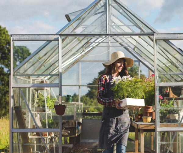 Is It Worth It: Installing a Prefab Greenhouse