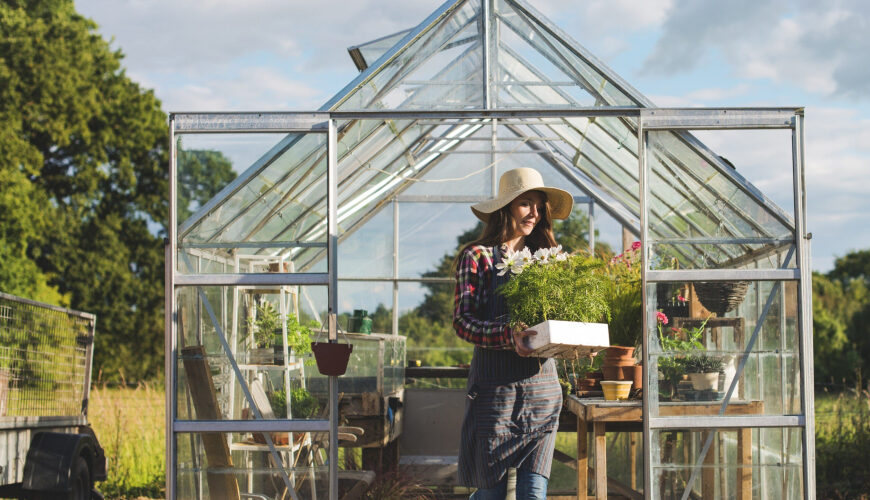 Is It Worth It: Installing a Prefab Greenhouse