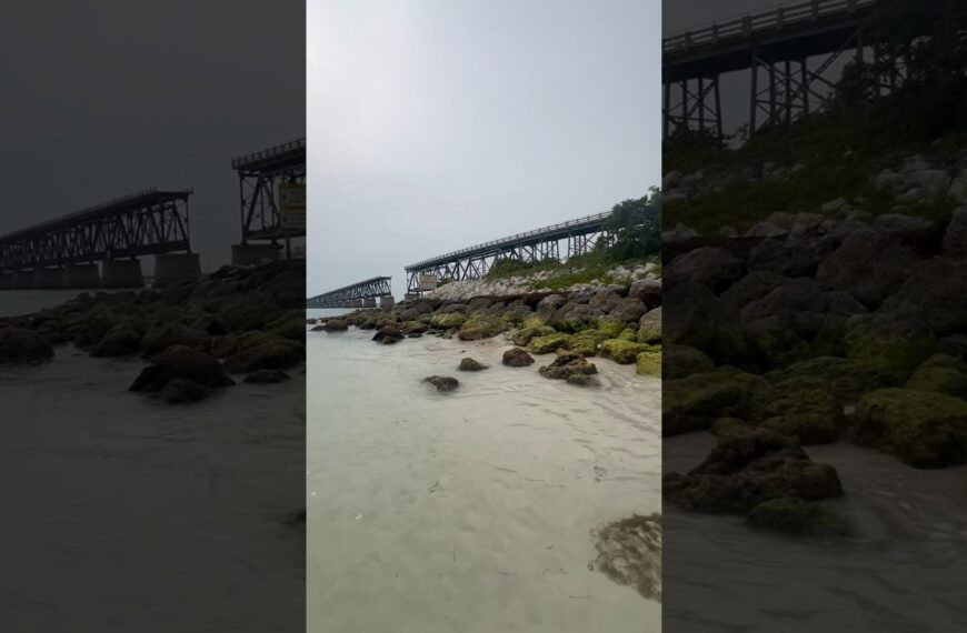 ☀️Stunning☀️#exploreflorida #livinginflorida