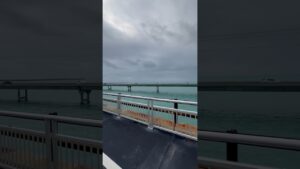 ☀️To  LIVE in Florida means to EXPLORE Florida #livinginflorida #movetoflorida  #floridaliving