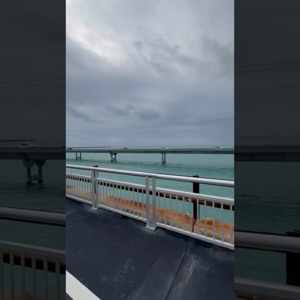 ☀️To  LIVE in Florida means to EXPLORE Florida #livinginflorida #movetoflorida  #floridaliving