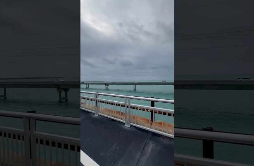 ☀️To LIVE in Florida means to EXPLORE Florida #livinginflorida #movetoflorida #floridaliving