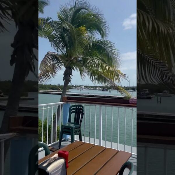 🌴Beautiful day in the keys! #floridalife #lovewhereyoulive