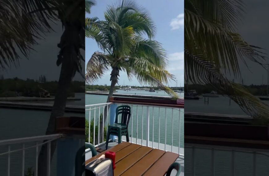 🌴Beautiful day in the keys! #floridalife #lovewhereyoulive