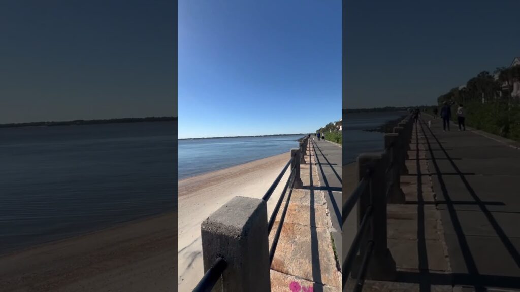 🌴Find a little beach wherever you are #beachfinds #simplelife