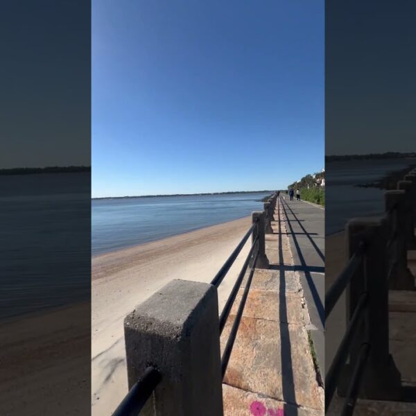 🌴Find a little beach wherever you are #beachfinds #simplelife