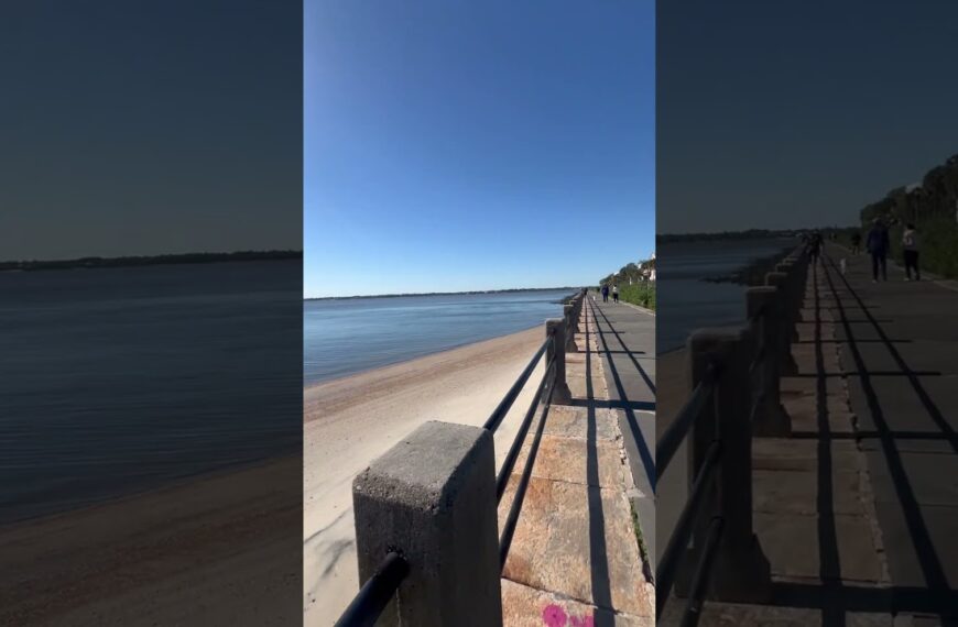 🌴Find a little beach wherever you are #beachfinds #simplelife