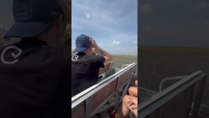 Take a ride on the River of Grass in South FL #everglades #livinginflorida