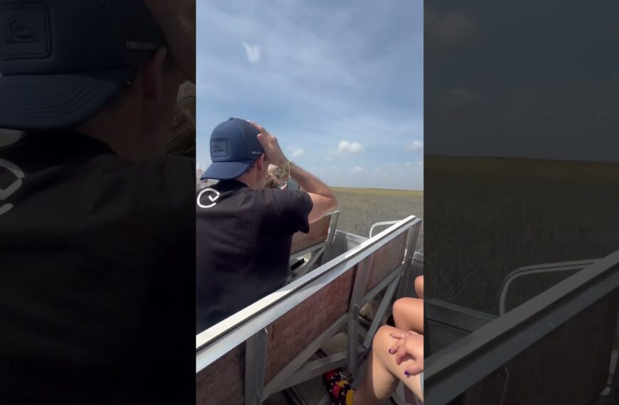 Take a ride on the River of Grass in South FL #everglades #livinginflorida